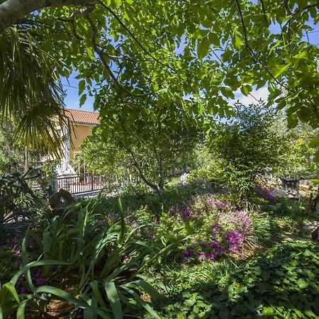 Apartment Vili Pinezići Dış mekan fotoğraf
