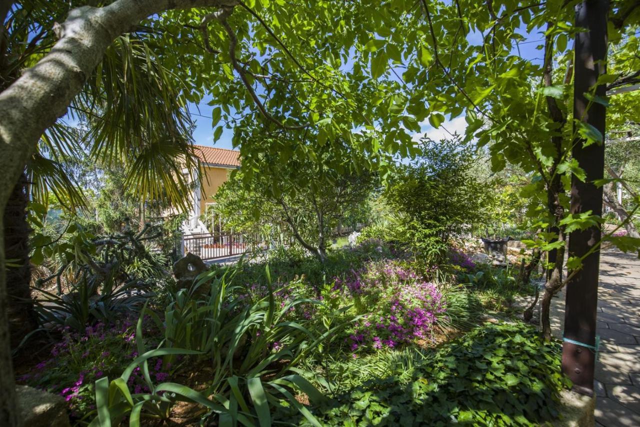 Apartment Vili Pinezići Dış mekan fotoğraf